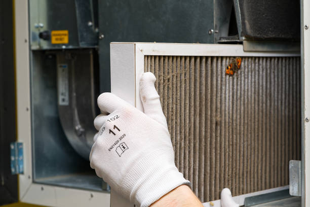 Best Residential Air Duct Cleaning  in Algonac, MI