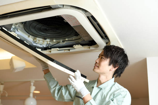 Best Duct Cleaning Specialists  in Algonac, MI