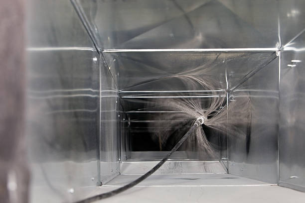 Best Air Duct Sanitizing Services  in Algonac, MI