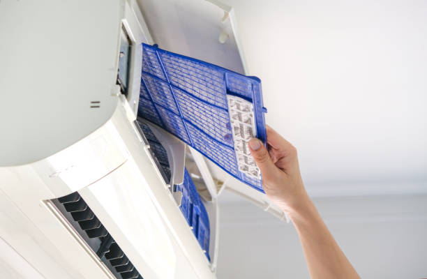 Best HVAC Maintenance and Cleaning  in Algonac, MI