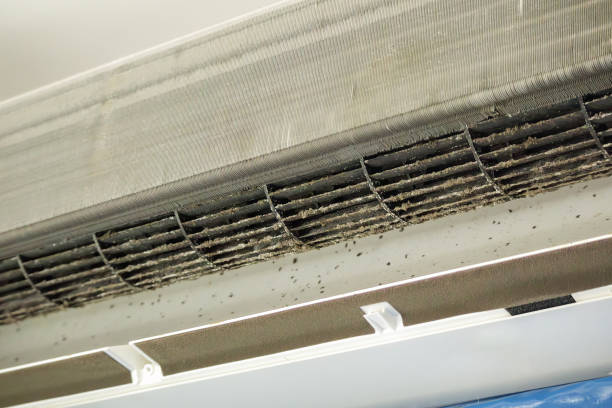 Best HVAC Duct Inspection Services  in Algonac, MI